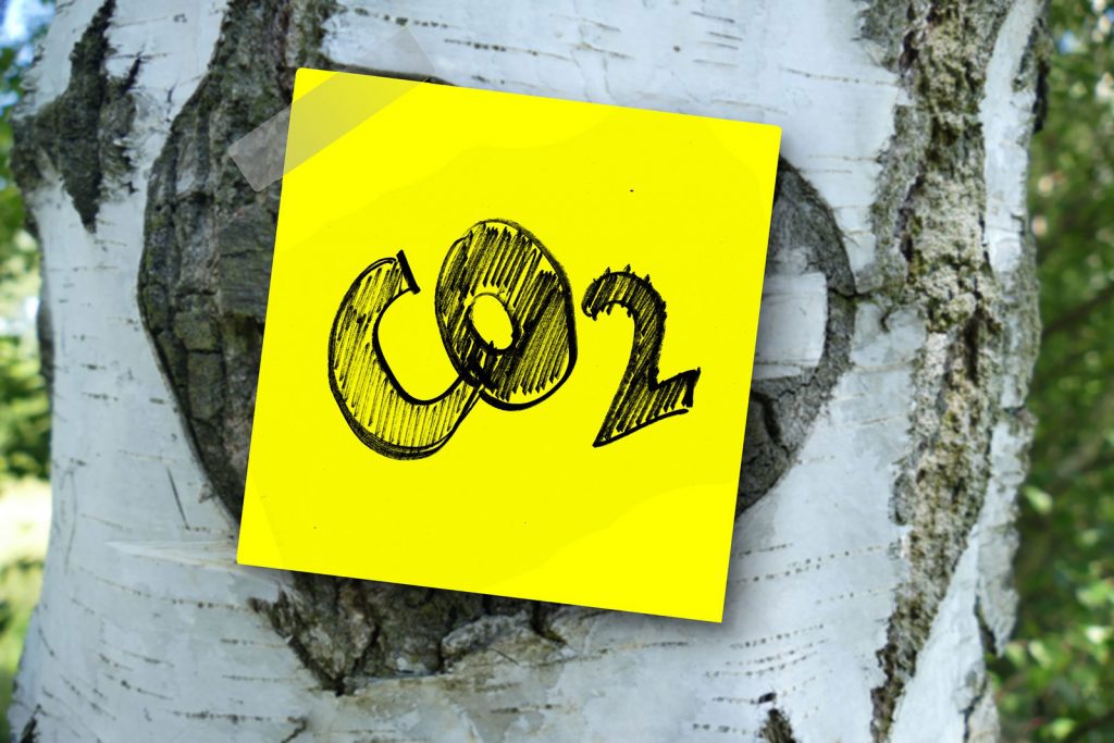 Handgeschriebener Zettel "CO2" auf Baumstamm (Foto: Gerd Altmann, Pixabay)