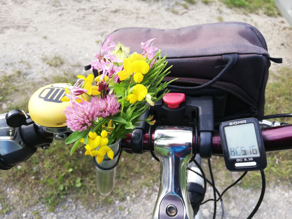 Radlenker mit Blumen (Foto: A.Back)