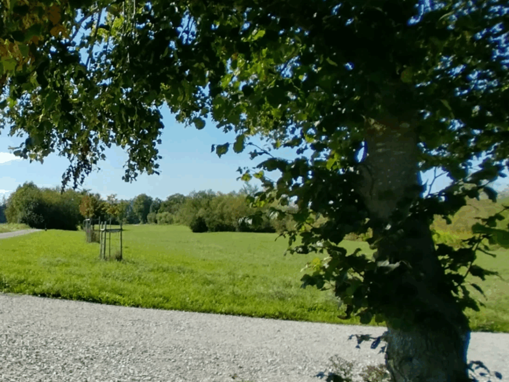 Weilheim pflanzt Zukunft